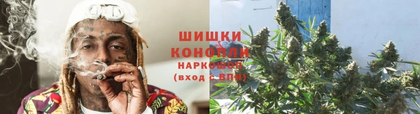 mdpv Волоколамск