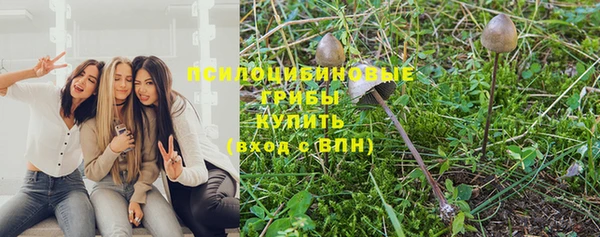 mdpv Волоколамск